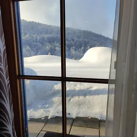 37 Sonnenwald
