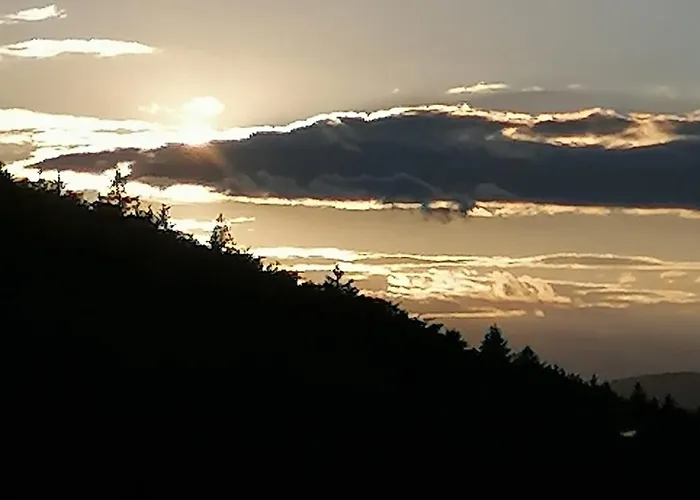 37 Sonnenwald *