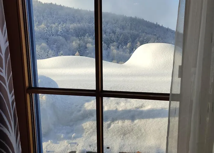37 Sonnenwald