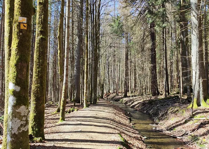 37 Sonnenwald Langfurth