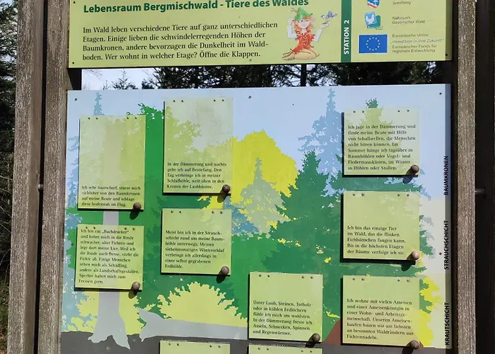 37 Sonnenwald