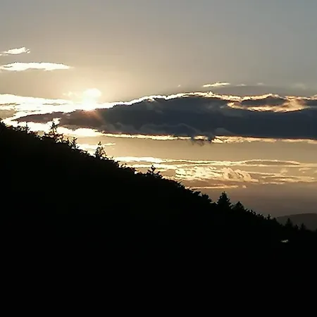 37 Sonnenwald *