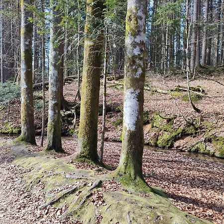 37 Sonnenwald *