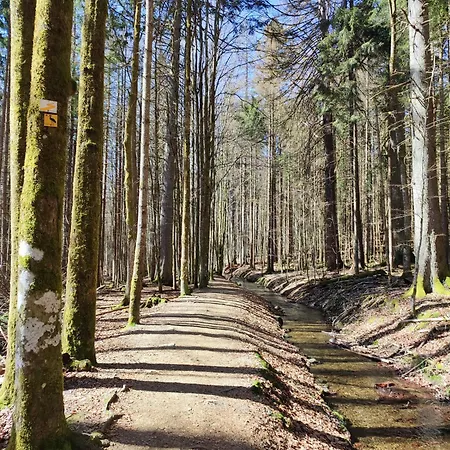 37 Sonnenwald Langfurth