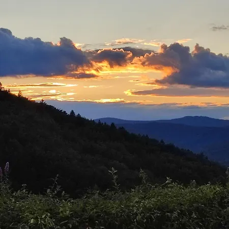 37 Sonnenwald *