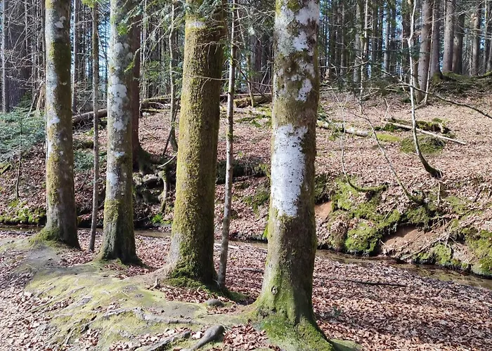 37 Sonnenwald *