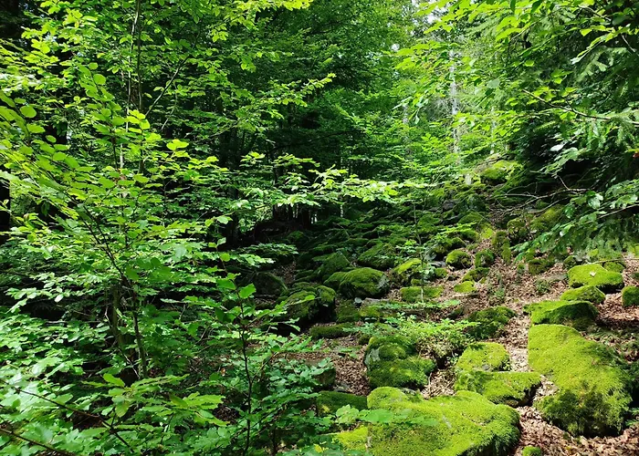 37 Sonnenwald Appartamento